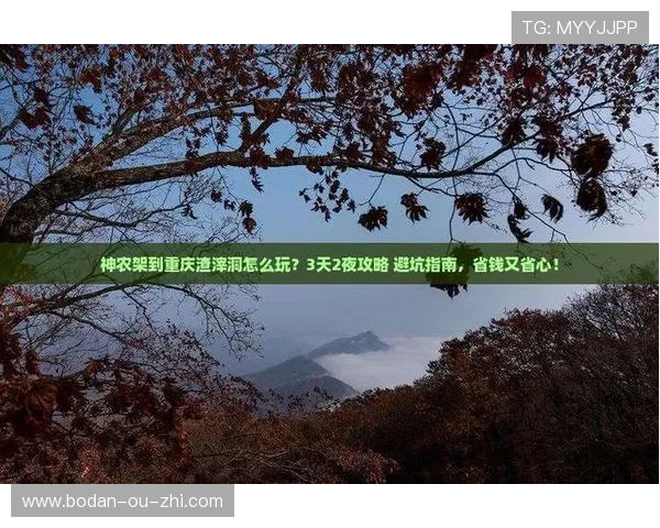 哪个网站波胆赔率高避坑指南极速提现平台推荐